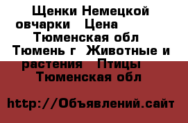 Щенки Немецкой овчарки › Цена ­ 7 000 - Тюменская обл., Тюмень г. Животные и растения » Птицы   . Тюменская обл.